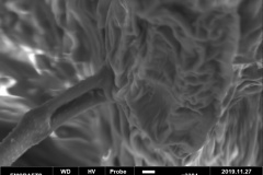 CF28B6F0-75E5-4546-96A0-7671A250F521