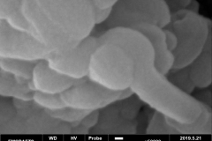 Cube II Backscatter Image