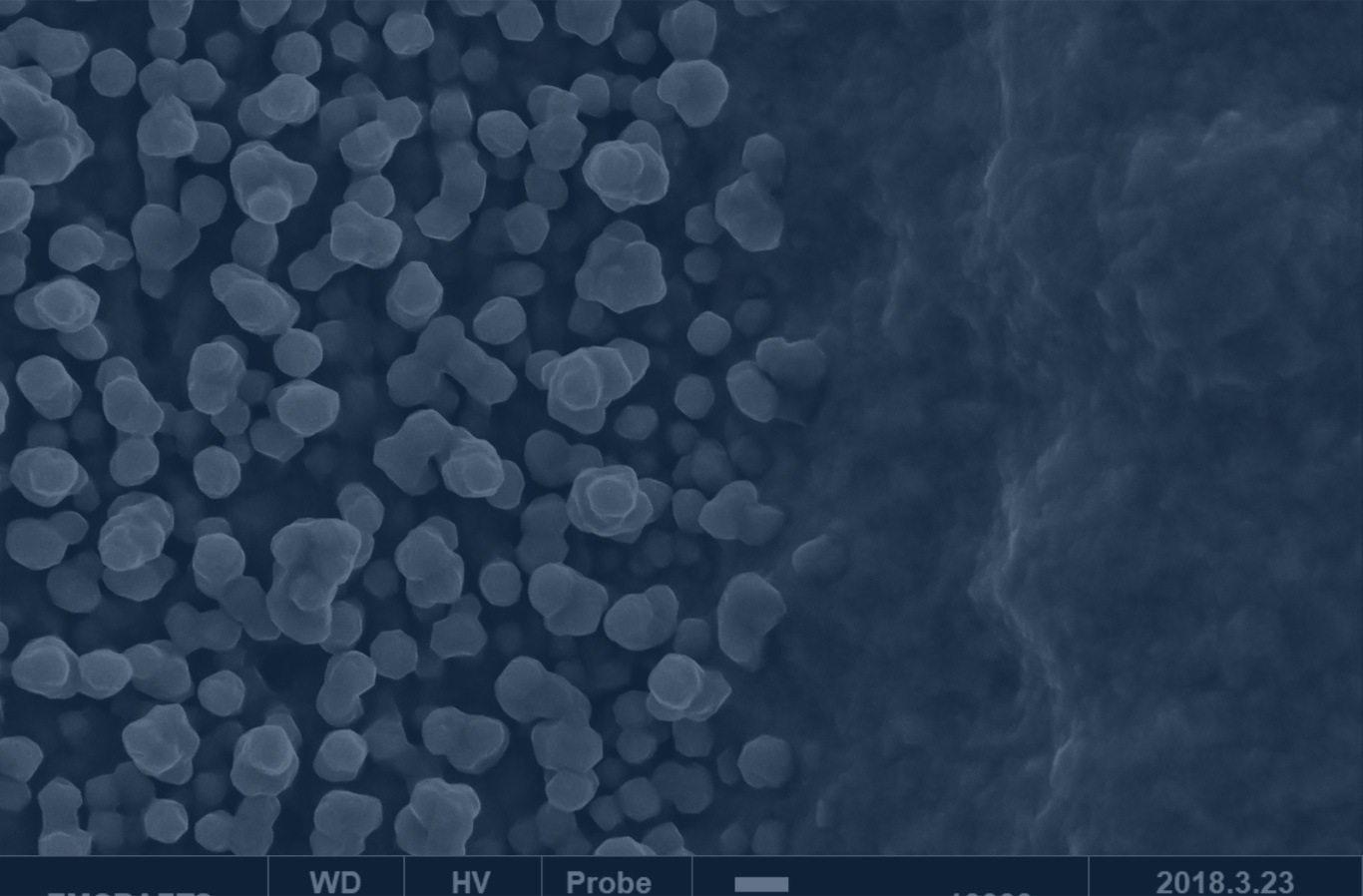 SEM Applications: 3 Scientific Uses of Scanning Electron Microscopy