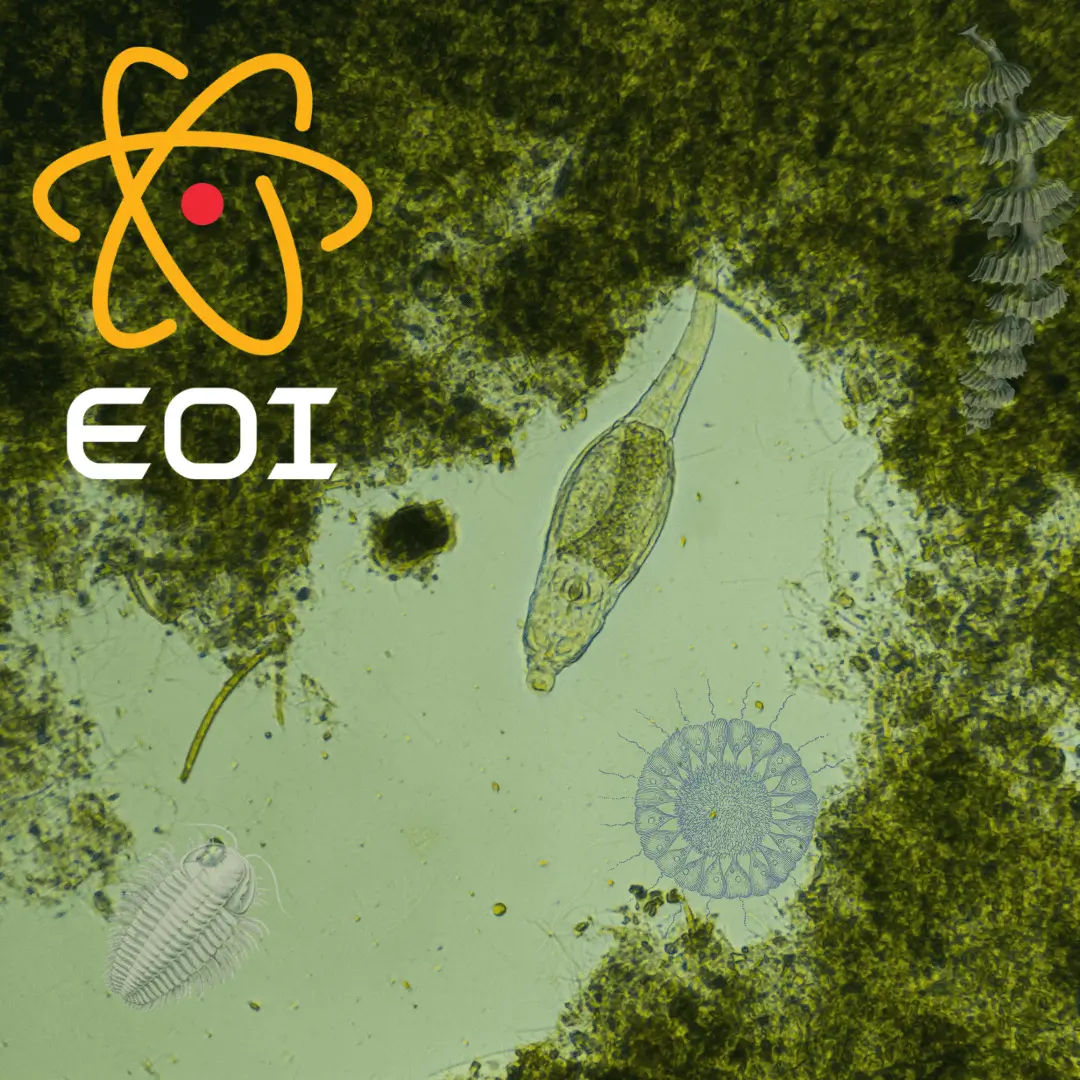 Obtaining Spectacular Images with Compact SEMs